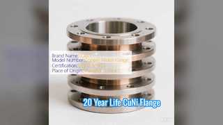 Hot Forged CuNi 70 30 Flange 20 Χρόνια Διάρκεια ζωής