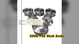 ASME Stub End Fittings 3000 PSI Carbon Steel