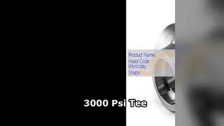 3000 Psi Reducing Tee High Pressure Industrial