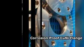 Χημική χρήση φλάντζας CuNi 70/30