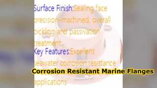 Ανθεκτική φλάντζα CuNi 70 30 Weld Neck for Marine Systems