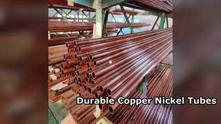 Copper Nickel & Incoloy 800 Tubes B163