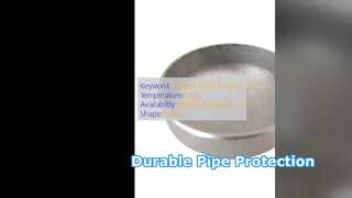 Καπάκια άκρων σωλήνων από ανθρακούχο χάλυβα WPB