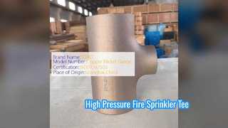 Μπλουζάκι μείωσης όλκιμου σιδήρου UL FM Listed 300PSI Pipe Fitting