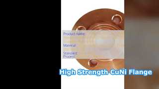 C71500 70 30 CuNi WNRF Φλάντζα Class 1500 High Strength