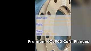 C71500 CuNi 70 30 φλάντζα λαιμού συγκόλλησης κορυφαίας ποιότητας σφυρήλατο