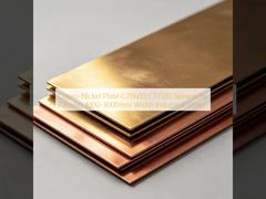 Υψηλής ποιότητας φύλλα Cupro Nickel C70600 C71500 Industrial