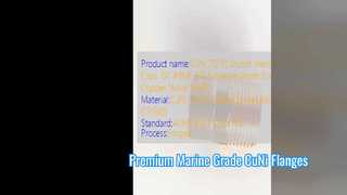 CuNi 70 30 Socket Weld Flange Class 150 Marine Grade